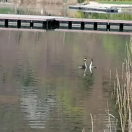 Ca' Dei Cigni Calceranica al Lago
