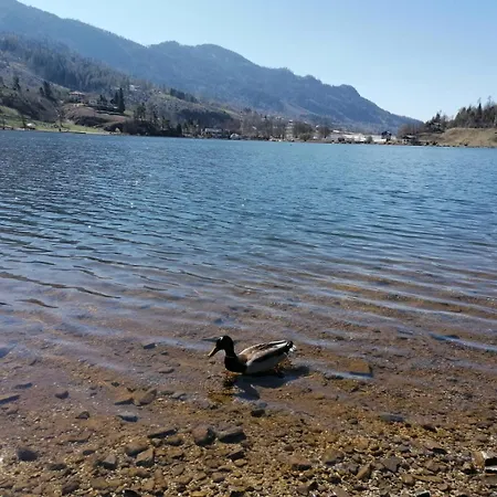 Διαμέρισμα Ca' Dei Cigni Calceranica al Lago